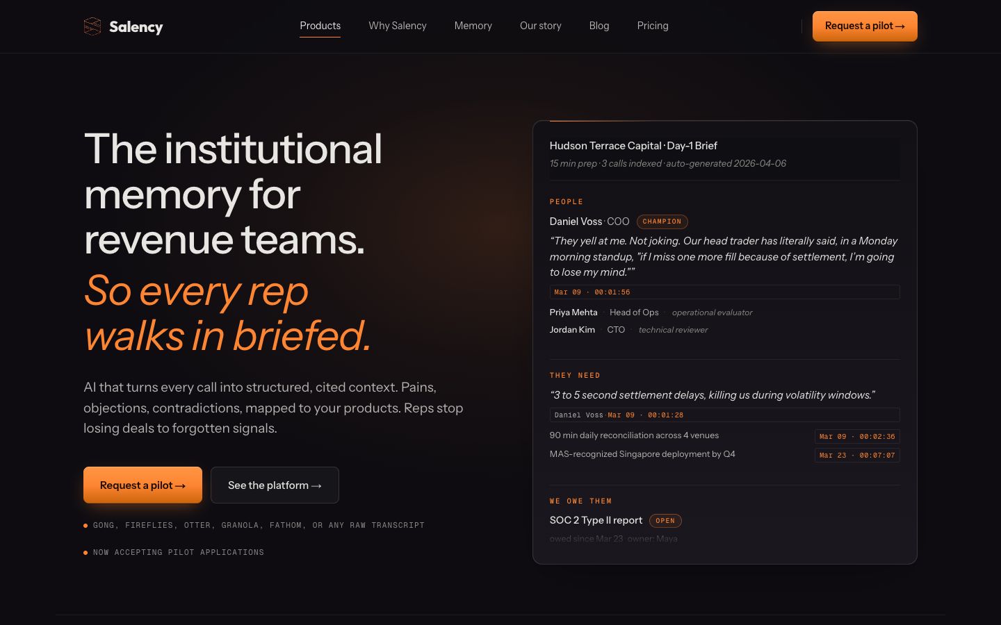 The salency.ai home page
